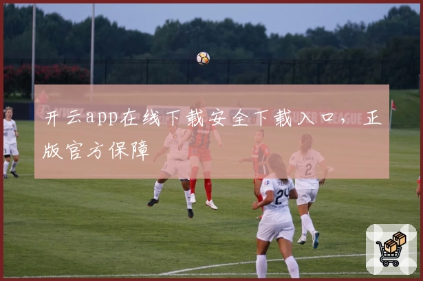 开云app在线下载安全下载入口，正版官方保障
