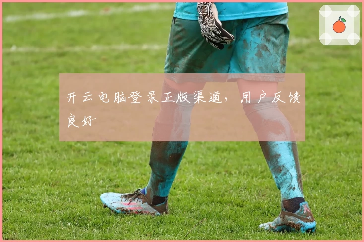 开云电脑登录正版渠道，用户反馈良好