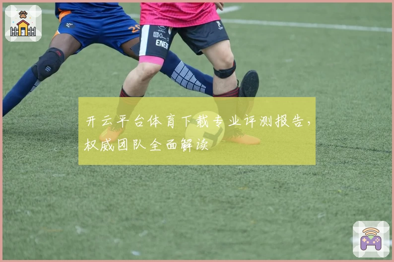 开云平台体育下载专业评测报告，权威团队全面解读